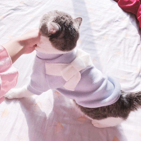 Lamodaペットウェア